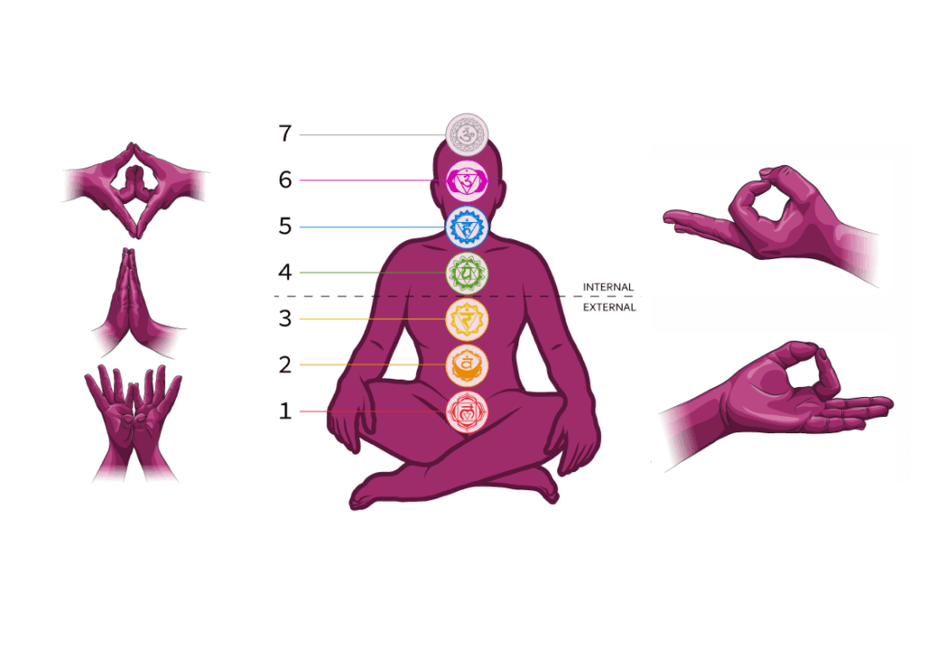 Multiple illustrations regarding hand mudras and inner alignment of the chakras by Evyn Caiazza.