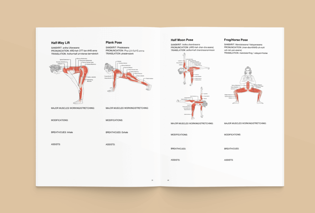 One spread from the booklet showcasing illustrations of anatomical musculature for different yoga positions.